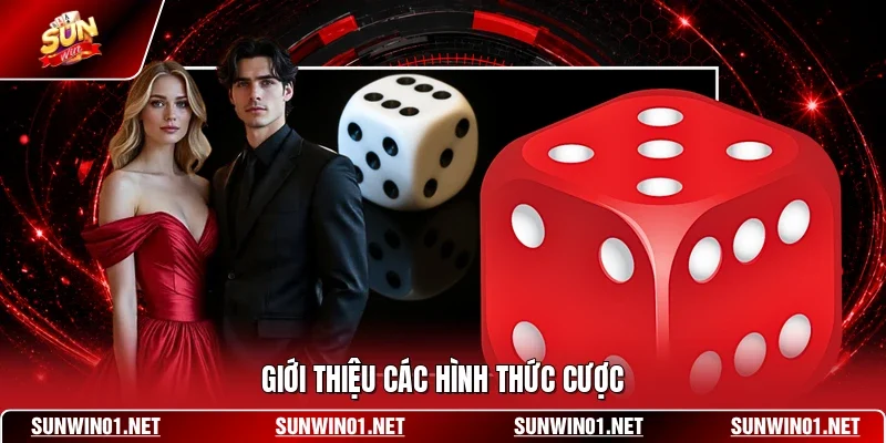 Giới thiệu các hình thức cược